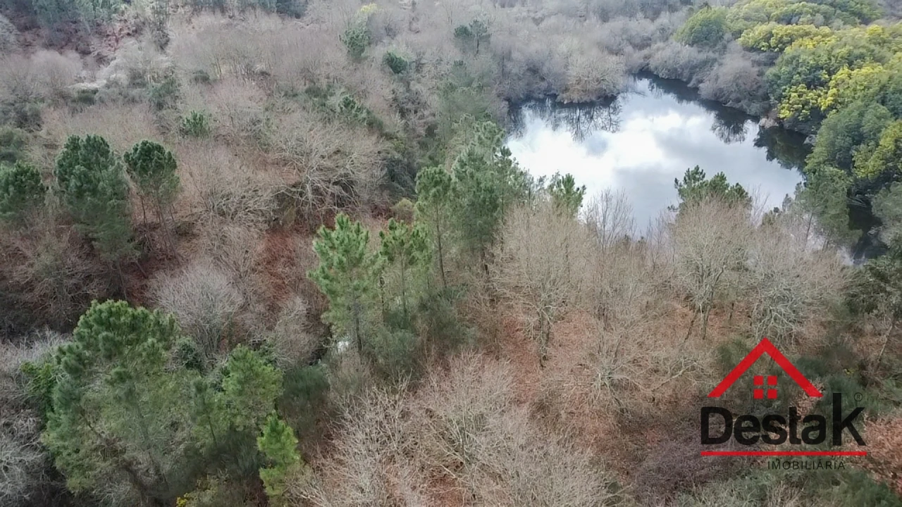 Quinta T0 para Venda em Queirã Foto 3