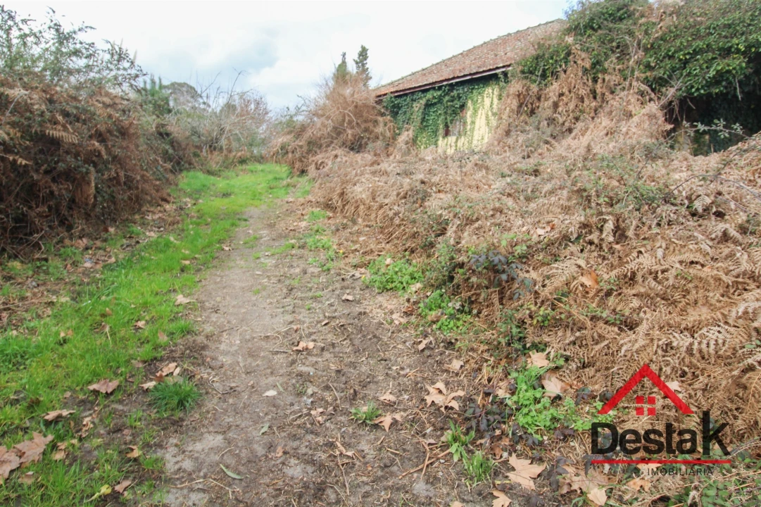 Quinta T0 para Venda em Queirã Foto 23