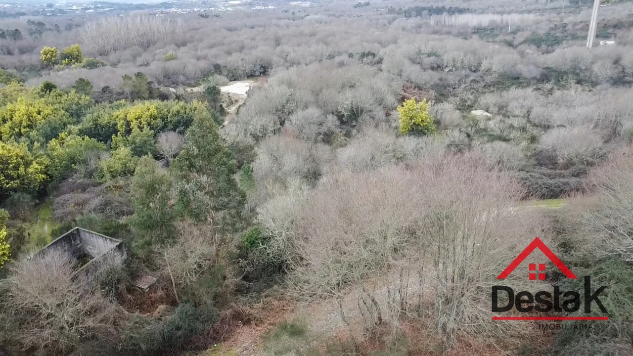 Quinta T0 para Venda em Queirã Foto 17