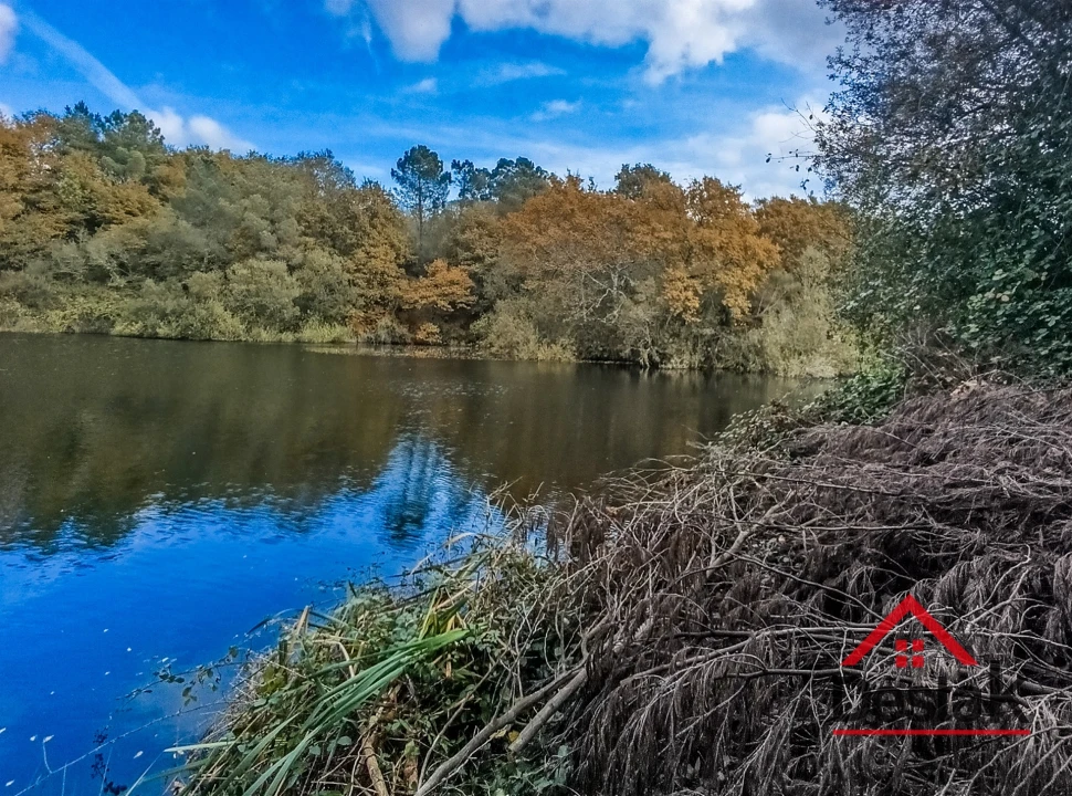 Quinta T0 para Venda em Queirã Foto 41