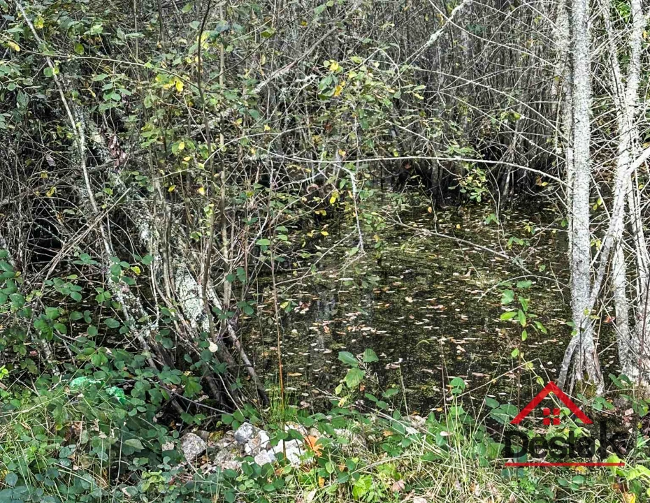 Quinta T0 para Venda em Queirã Foto 32