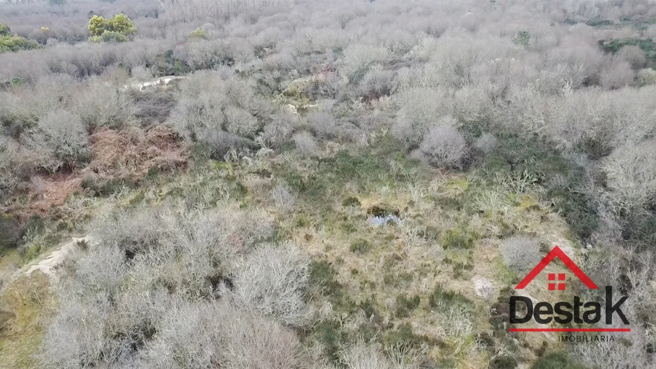 Quinta T0 para Venda em Queirã Foto 19