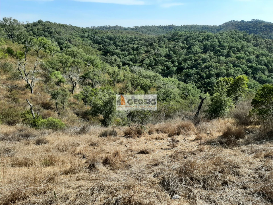 Terreno Agricola ou Rústico para Venda em Santa Clara-A-Nova e Gomes Aires Foto 2