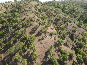 Terreno Agricola ou Rústico para Venda em Santa Clara-A-Nova e Gomes Aires