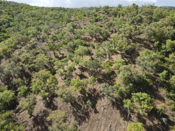 Terreno Agricola ou Rústico para Venda em Santa Clara-A-Nova e Gomes Aires