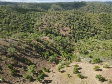 Terreno Agricola ou Rústico para Venda em Santa Clara-A-Nova e Gomes Aires