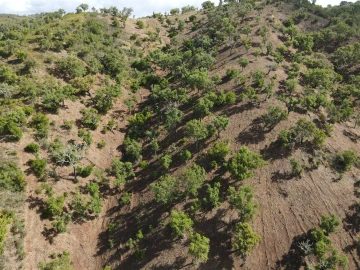 Terreno Agricola ou Rústico para Venda em Santa Clara-A-Nova e Gomes Aires