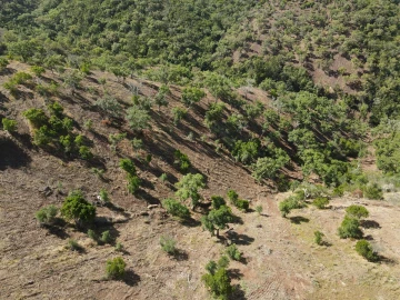 Terreno Agricola ou Rústico para Venda em Santa Clara-A-Nova e Gomes Aires