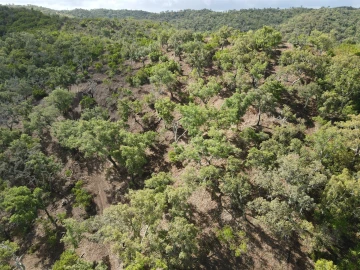 Terreno Agricola ou Rústico para Venda em Santa Clara-A-Nova e Gomes Aires