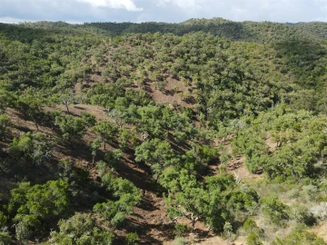 Terreno Agricola ou Rústico para Venda em Santa Clara-A-Nova e Gomes Aires