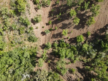 Terreno Agricola ou Rústico para Venda em Santa Clara-A-Nova e Gomes Aires
