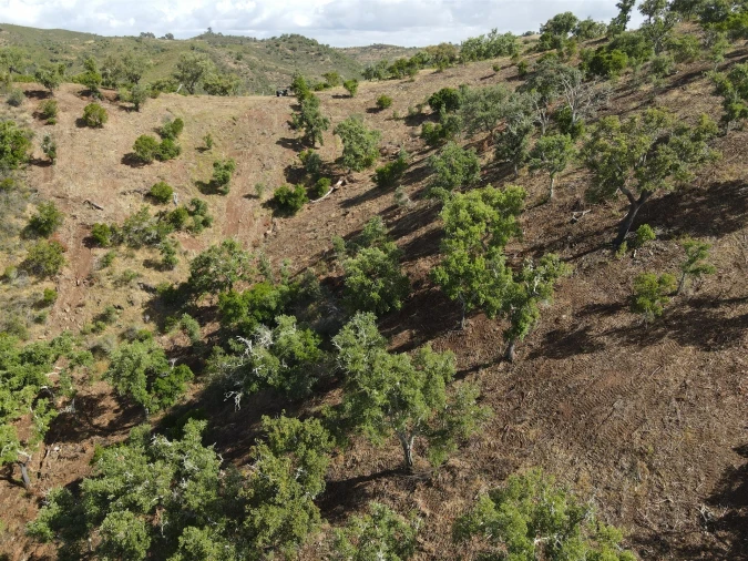 Terreno Agricola ou Rústico para Venda em Santa Clara-A-Nova e Gomes Aires Foto 12