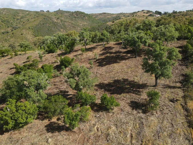 Terreno Agricola ou Rústico para Venda em Santa Clara-A-Nova e Gomes Aires Foto 13