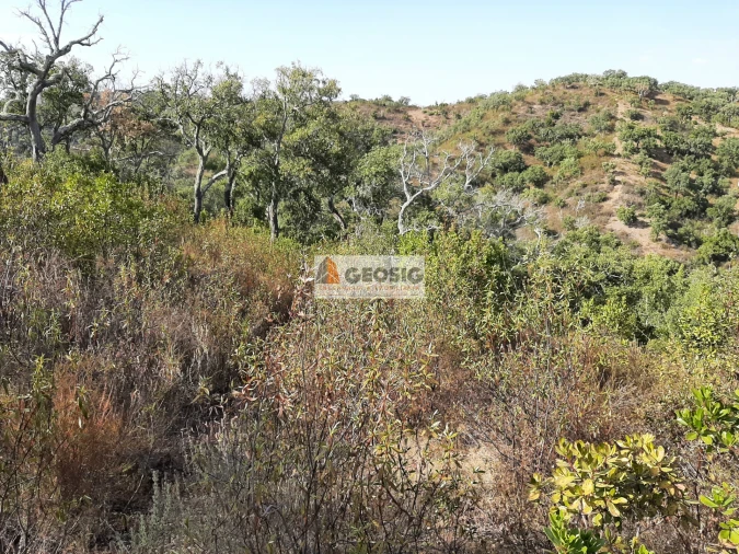 Terreno Agricola ou Rústico para Venda em Santa Clara-A-Nova e Gomes Aires Foto 5