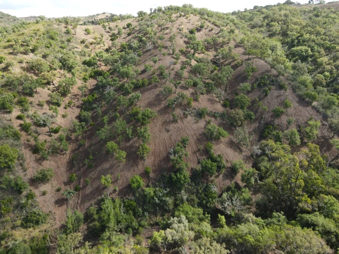 Terreno Agricola ou Rústico para Venda em Santa Clara-A-Nova e Gomes Aires Foto 5