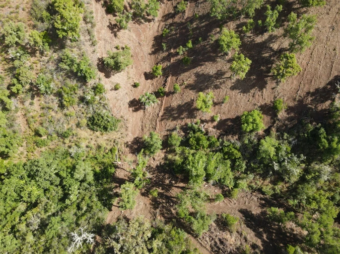 Terreno Agricola ou Rústico para Venda em Santa Clara-A-Nova e Gomes Aires Foto 7