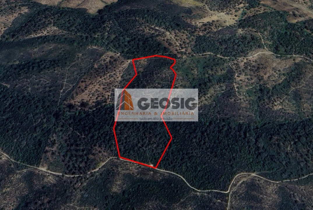 Terreno Agricola ou Rústico para Venda em Santa Clara-A-Nova e Gomes Aires Foto 12