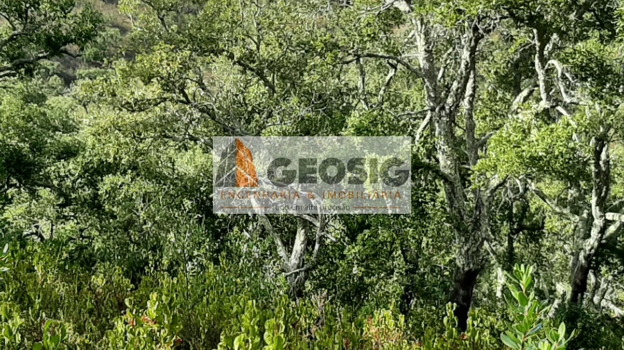 Terreno Agricola ou Rústico para Venda em Santa Clara-A-Nova e Gomes Aires