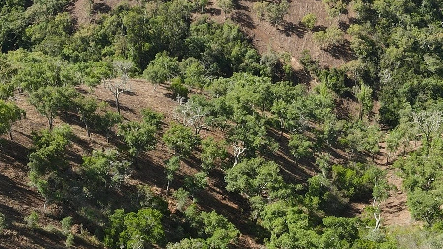 Terreno Agricola ou Rústico para Venda em Santa Clara-A-Nova e Gomes Aires