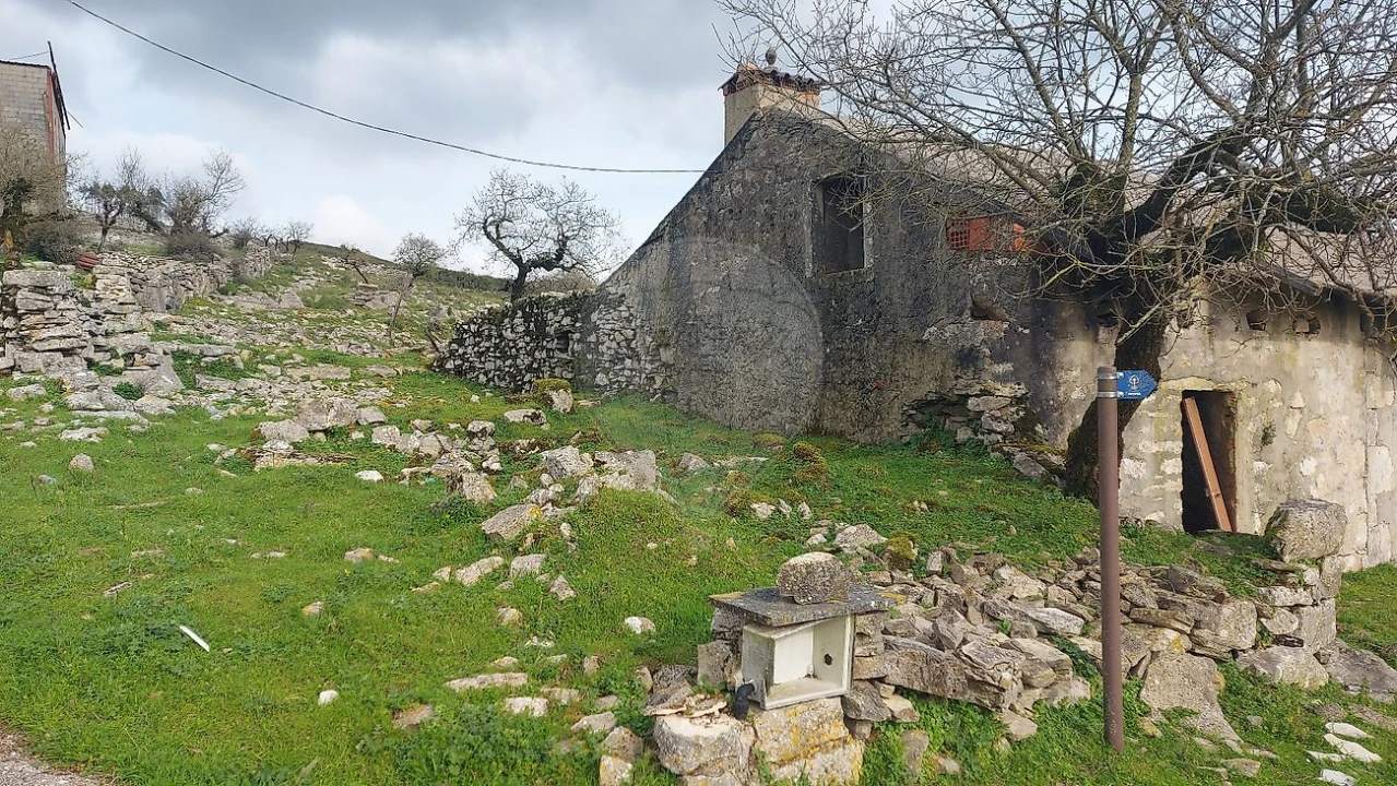 Armazém para Venda em Arrimal e Mendiga Foto 2
