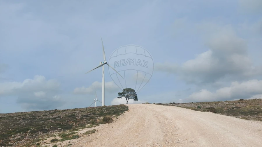 Armazém para Venda em Arrimal e Mendiga Foto 5