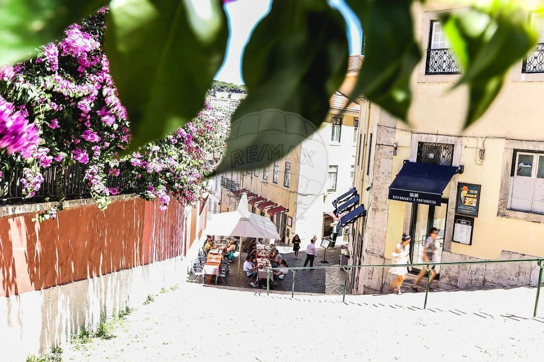 Negócio para Venda em Santa Maria Maior Foto 12