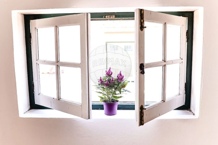 Negócio para Venda em Santa Maria Maior Foto 8