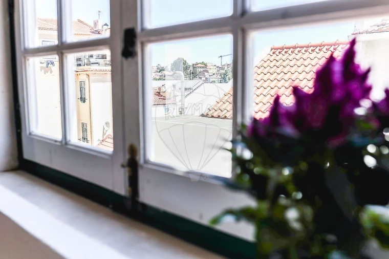 Negócio para Venda em Santa Maria Maior Foto 25