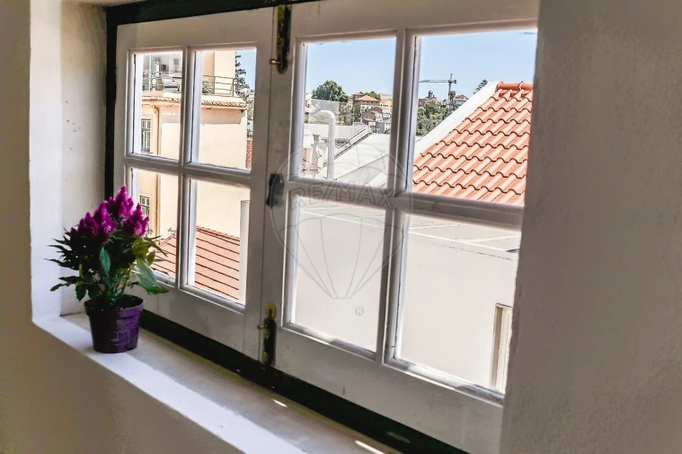 Negócio para Venda em Santa Maria Maior Foto 38