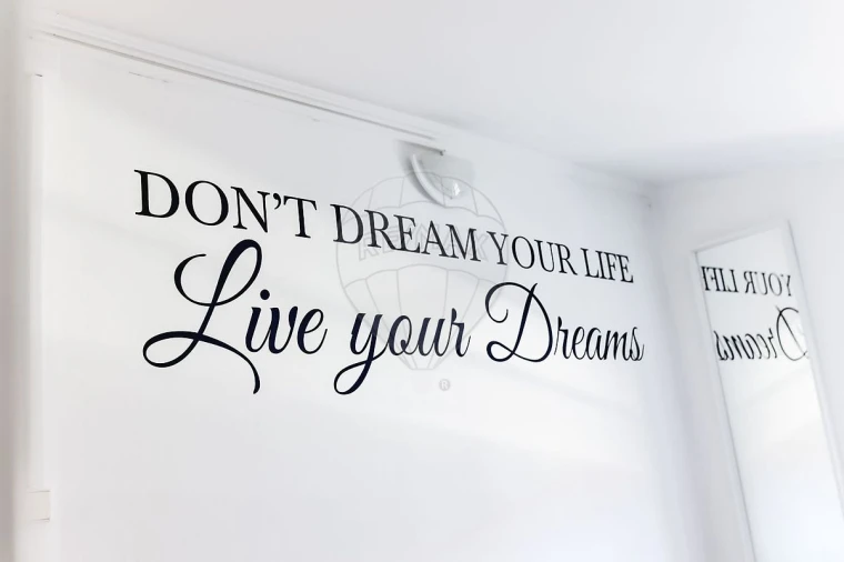 Negócio para Venda em Santa Maria Maior Foto 46