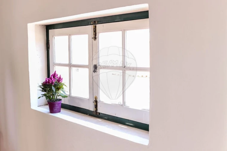 Negócio para Venda em Santa Maria Maior Foto 27