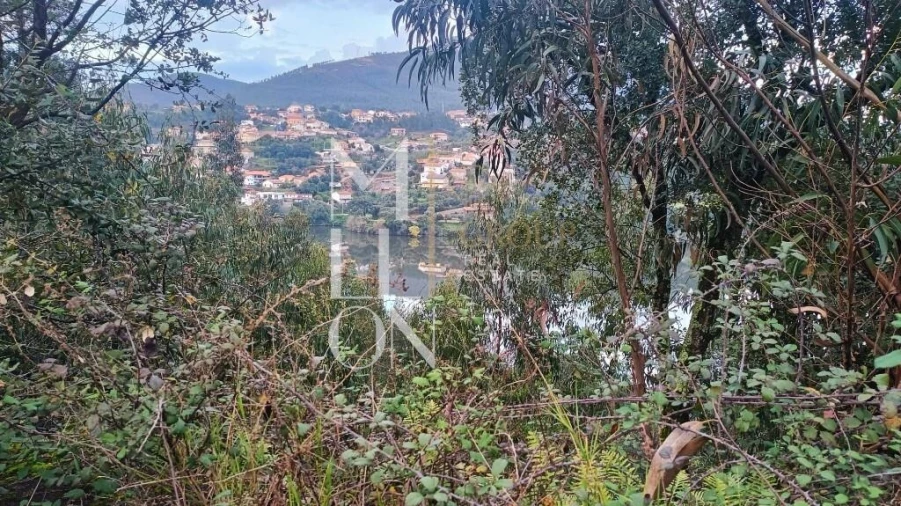 Terreno para Venda em Raiva, Pedorido e Paraíso Foto 5