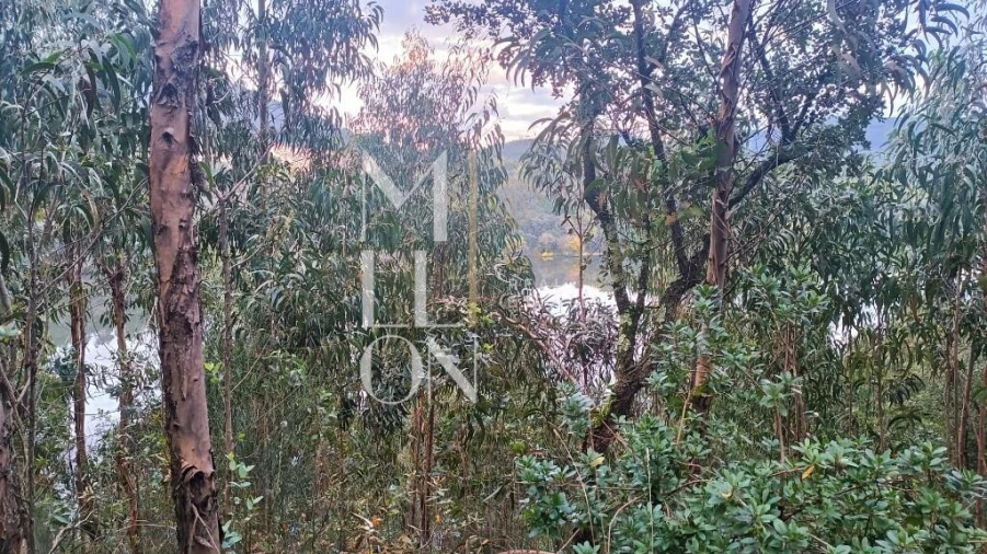 Terreno para Venda em Raiva, Pedorido e Paraíso Foto 7