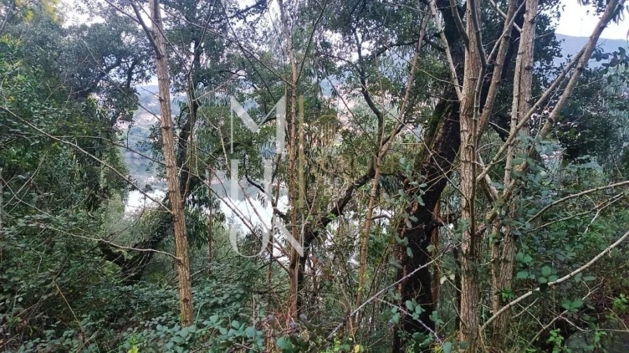 Terreno para Venda em Raiva, Pedorido e Paraíso Foto 8