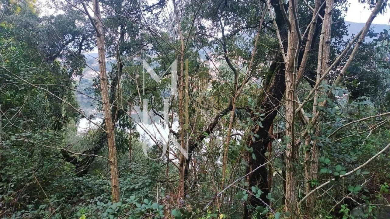 Terreno para Venda em Raiva, Pedorido e Paraíso Foto 8