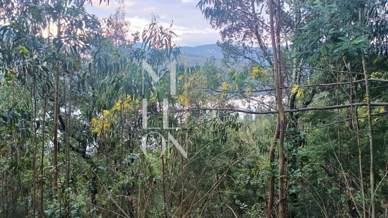 Terreno para Venda em Raiva, Pedorido e Paraíso Foto 4