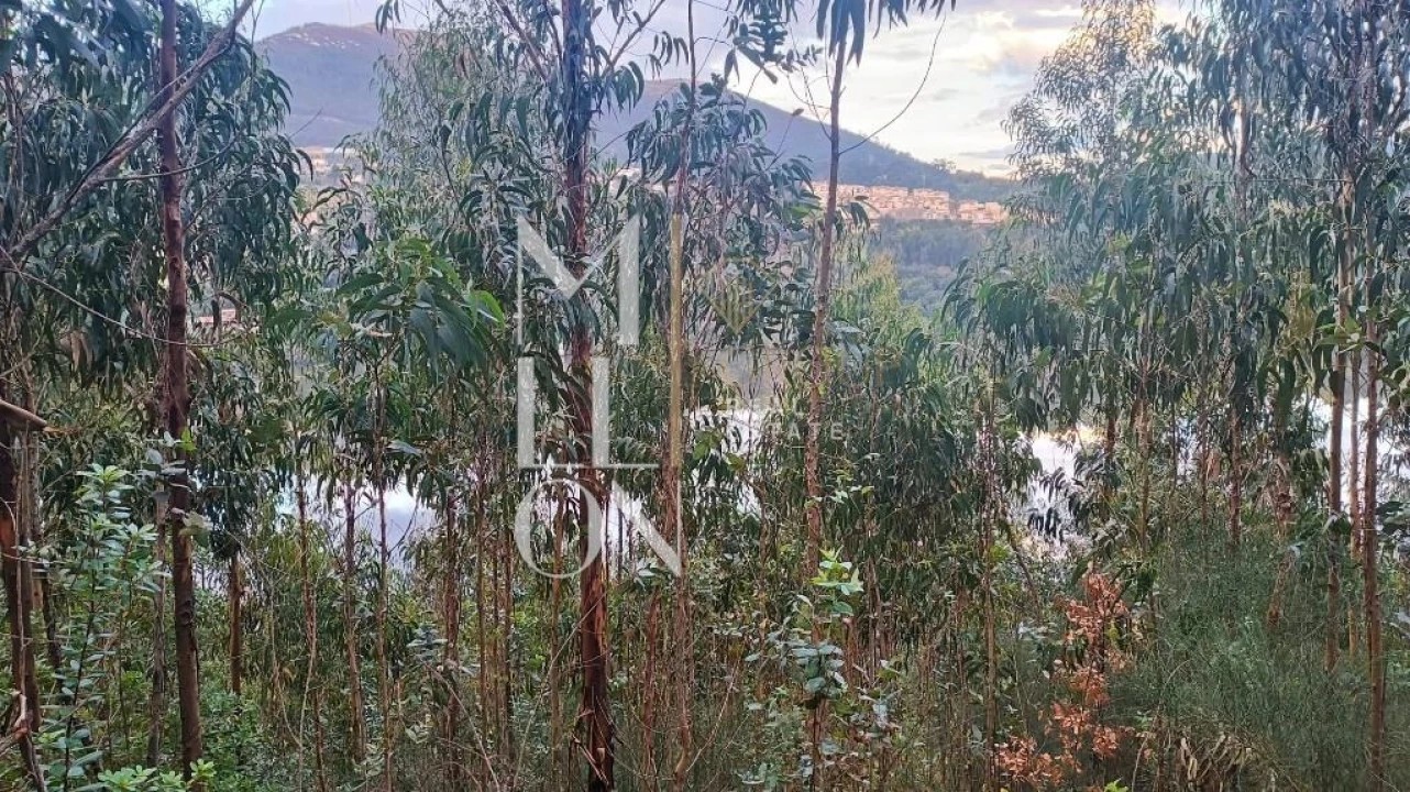 Terreno para Venda em Raiva, Pedorido e Paraíso Foto 6