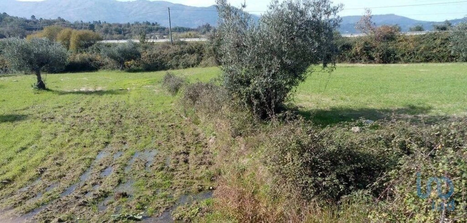 Terreno para Venda em Peraboa Foto 8
