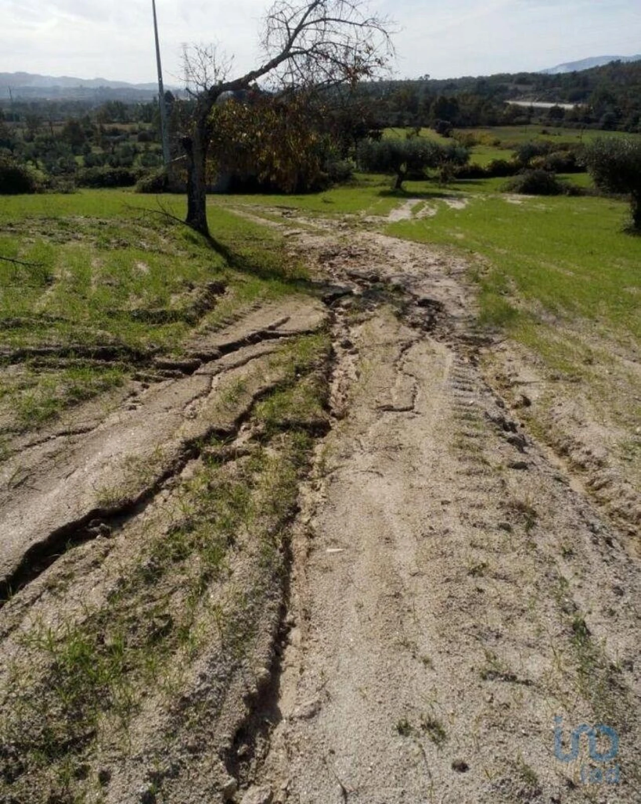 Terreno para Venda em Peraboa Foto 7