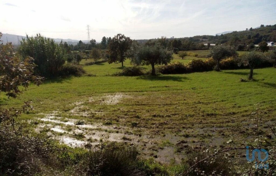 Terreno para Venda em Peraboa Foto 10