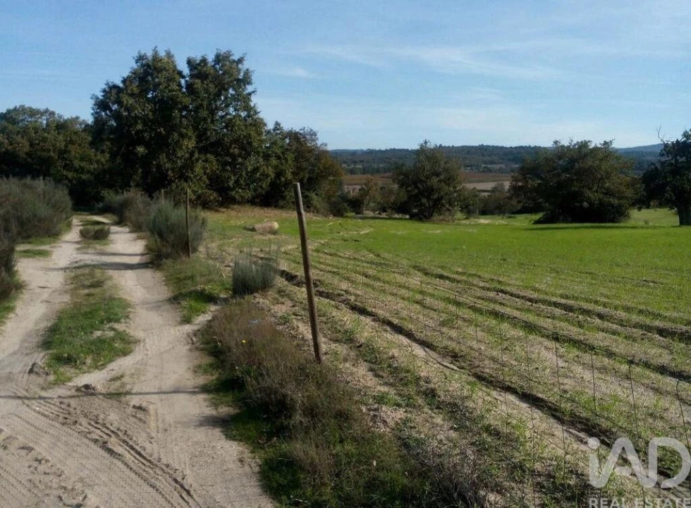 Terreno para Venda em Peraboa Foto 22