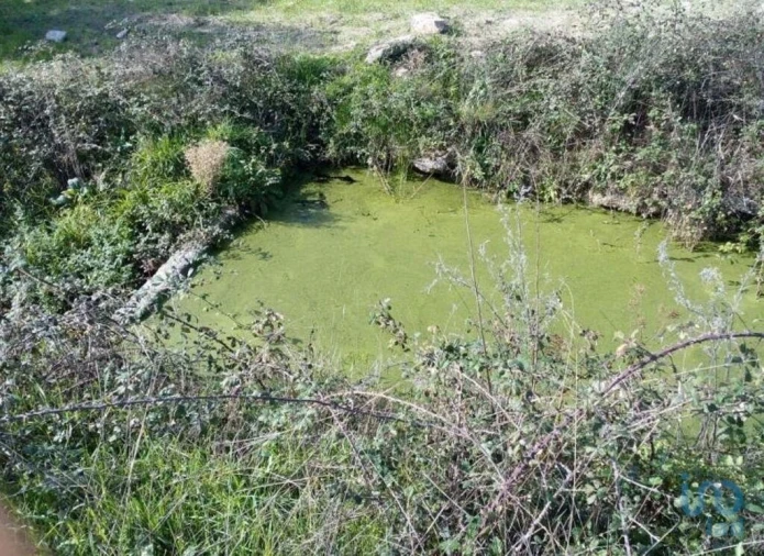 Terreno para Venda em Peraboa Foto 15