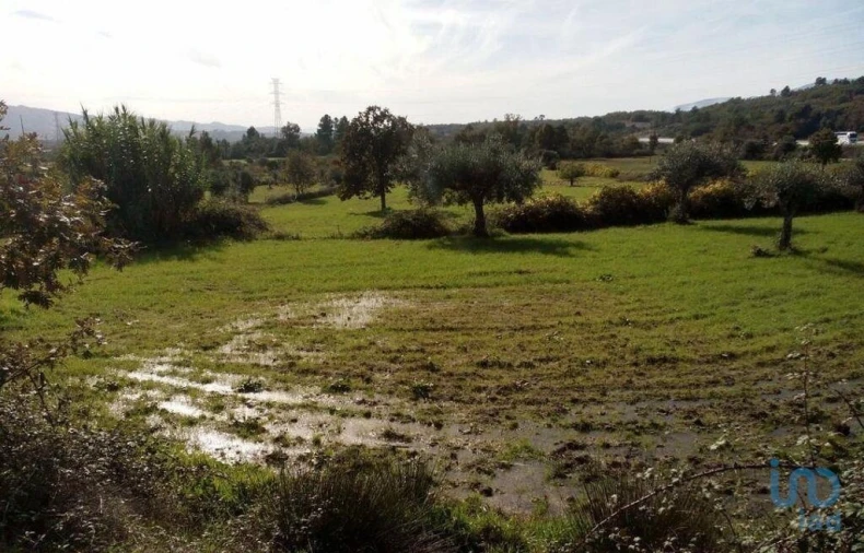 Terreno para Venda em Peraboa Foto 5