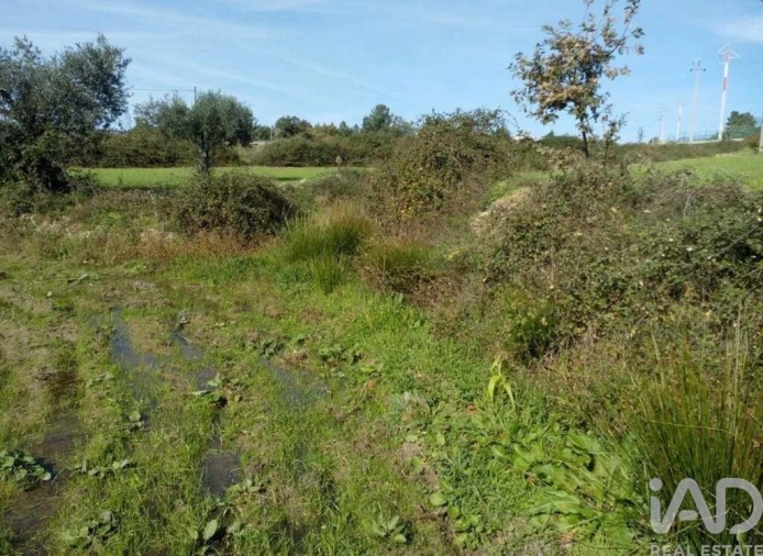 Terreno para Venda em Peraboa Foto 21