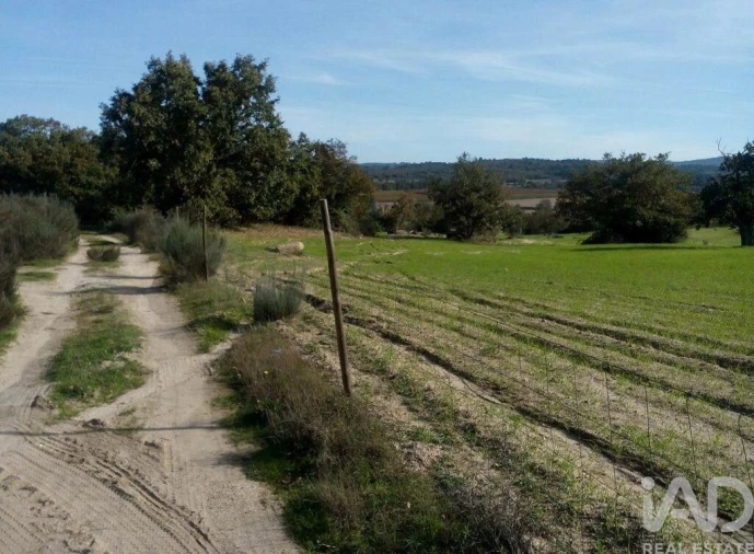 Terreno para Venda em Peraboa Foto 22