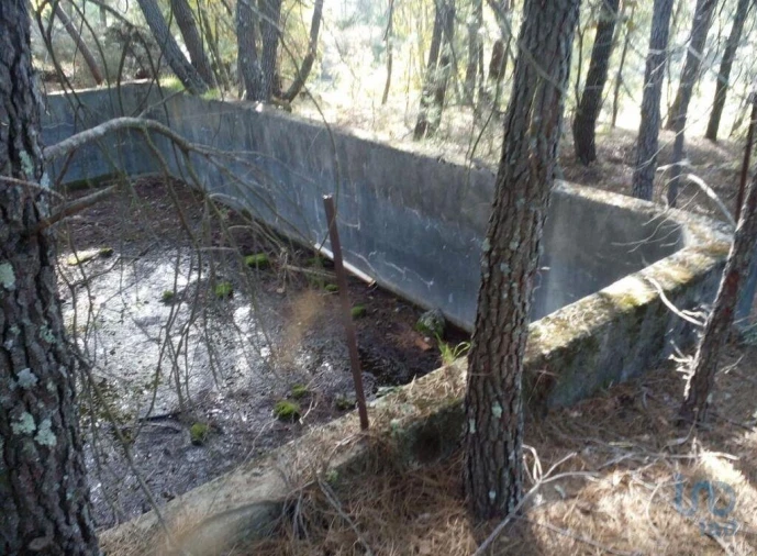 Terreno para Venda em Peraboa Foto 14