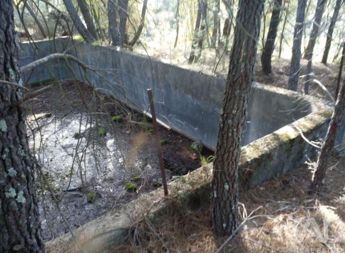 Terreno para Venda em Peraboa Foto 23