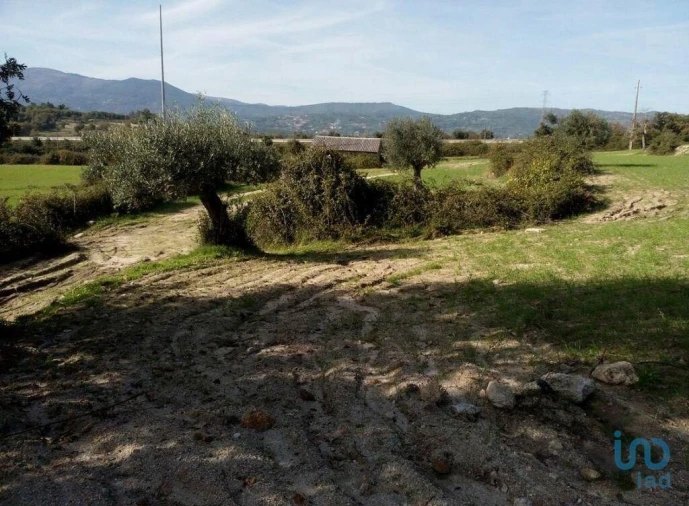 Terreno para Venda em Peraboa Foto 12