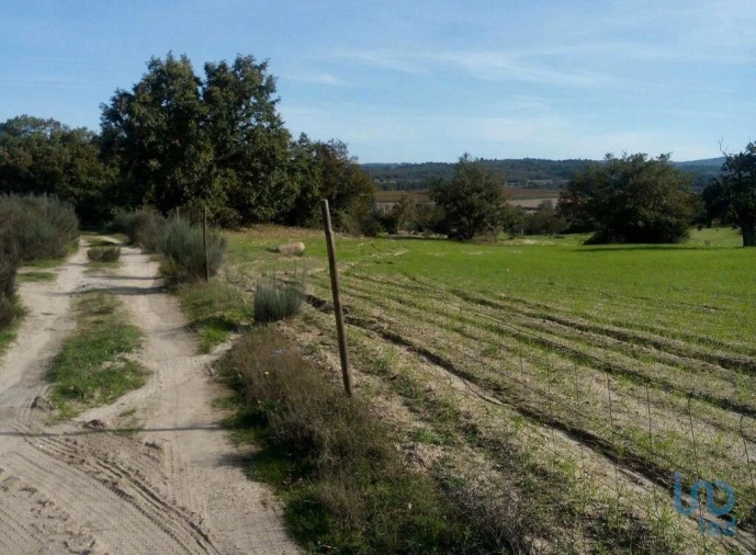 Terreno para Venda em Peraboa Foto 4