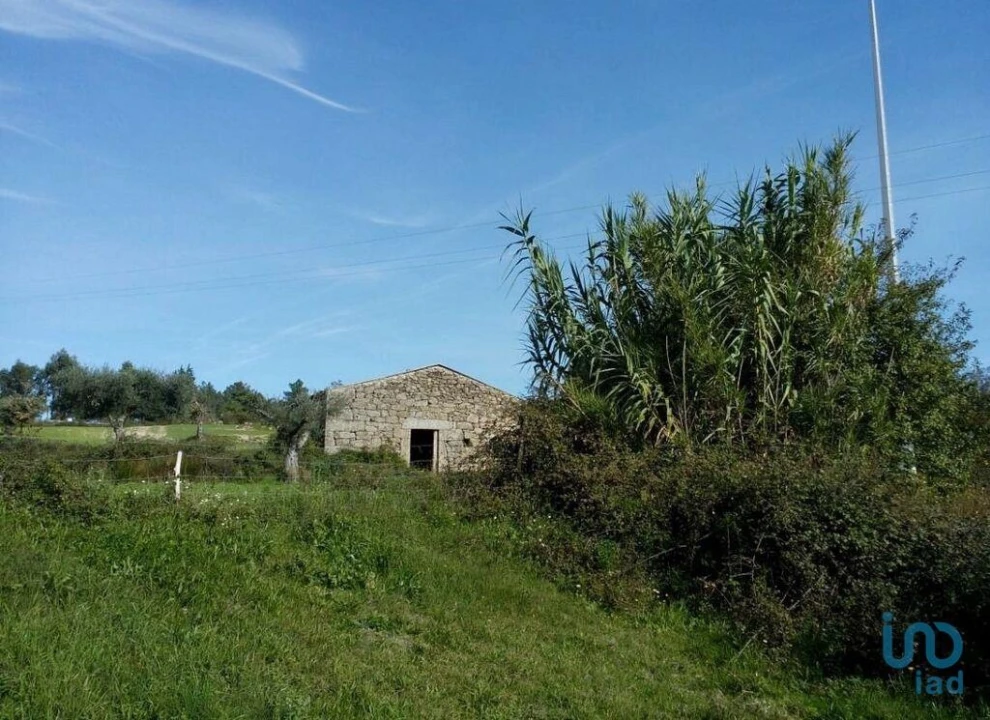 Terreno para Venda em Peraboa Foto 1